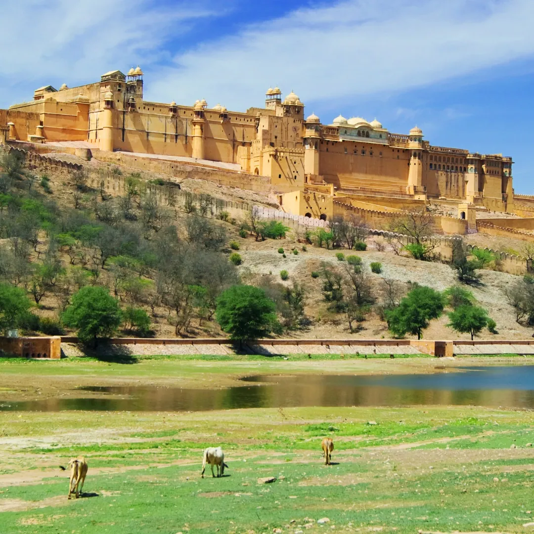 Fuerte Amber en Jaipur, India, impresionante fortaleza histórica con arquitectura tradicional de Rajasthan.