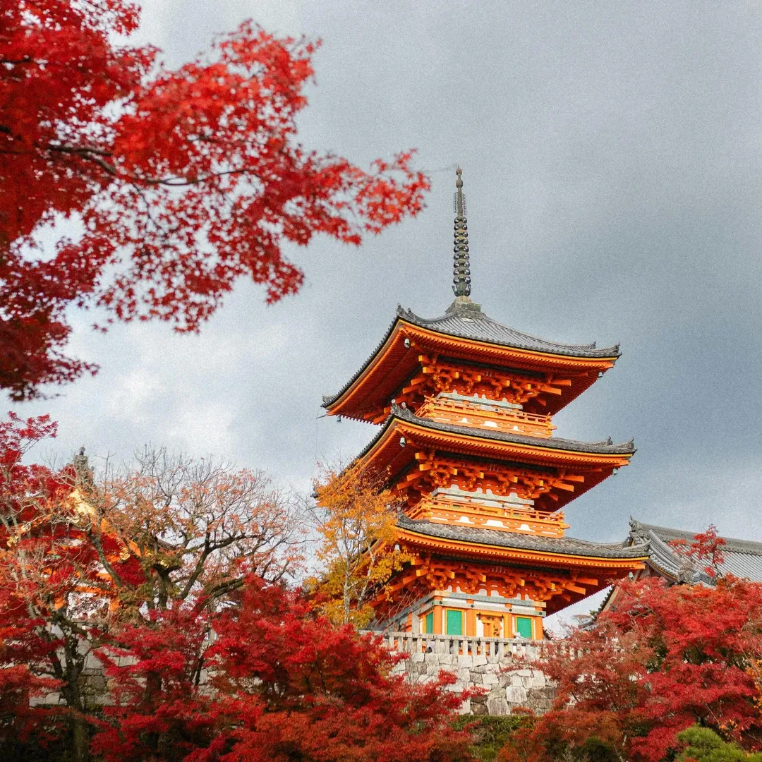 Japón & Estambul: Dos Mundos, Un Viaje