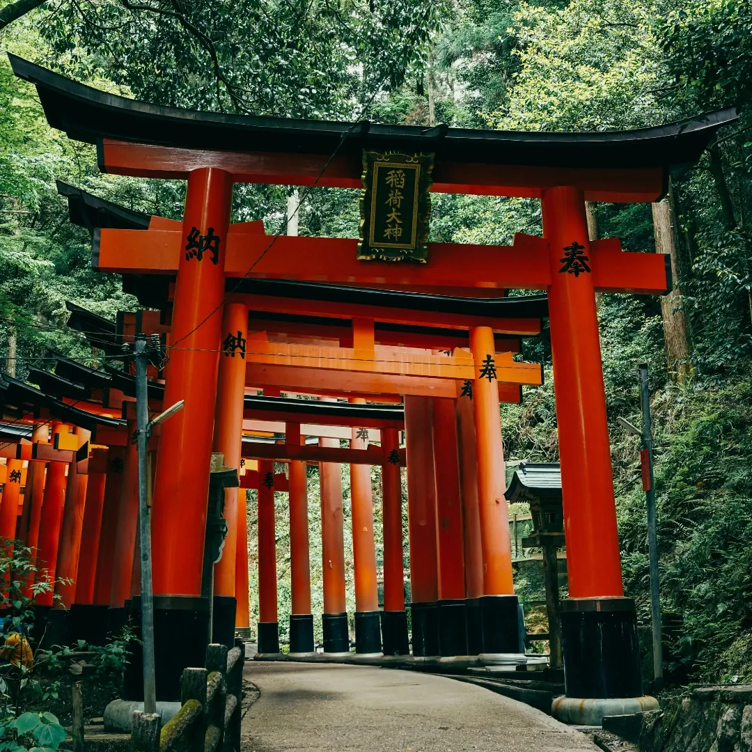 Japón & Estambul: Dos Mundos, Un Viaje